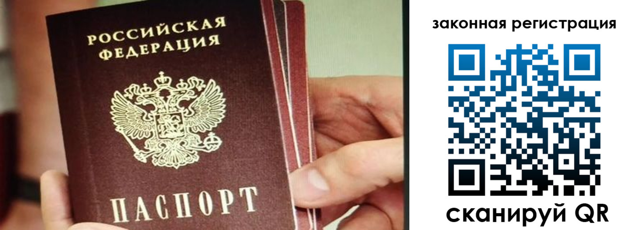 миграционный учет в Светлогорске